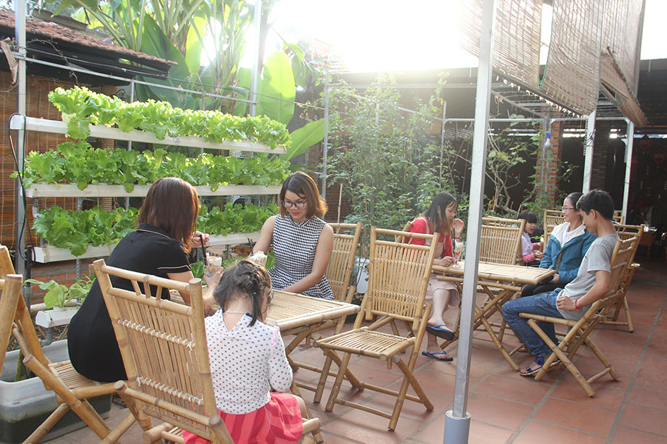 Cà phê miễn phí: Sẵn sàng phục vụ du khách