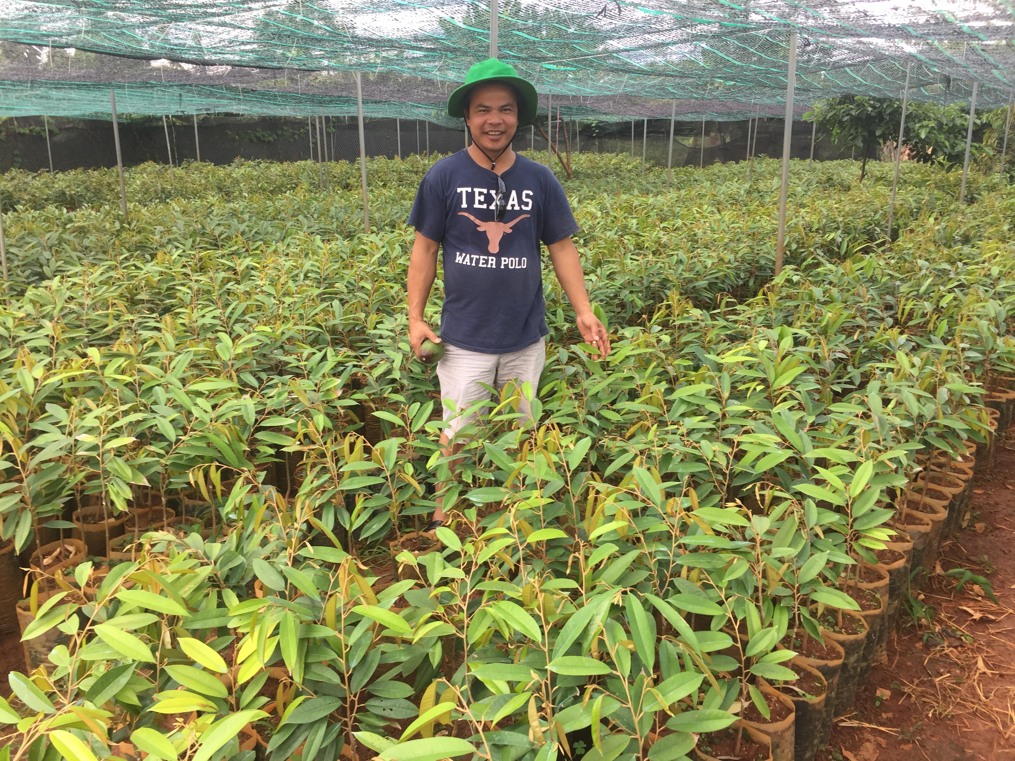 Đắk Lắk có nhiều mô hình hợp tác xã nổi bật với cách làm mới