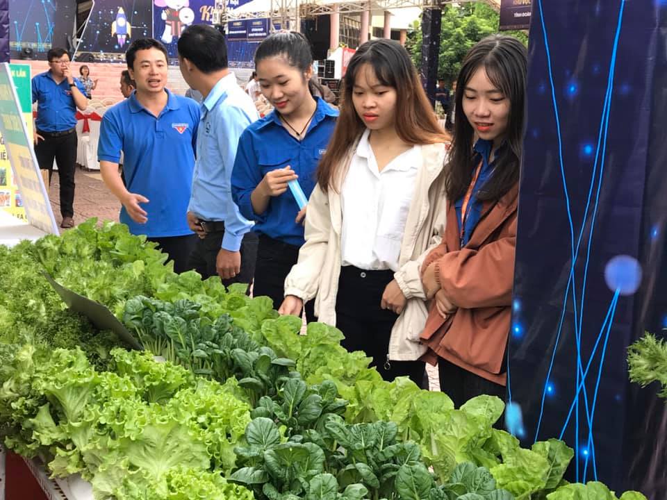 Ngày hội Khởi nghiệp Đắk Lắk năm 2019